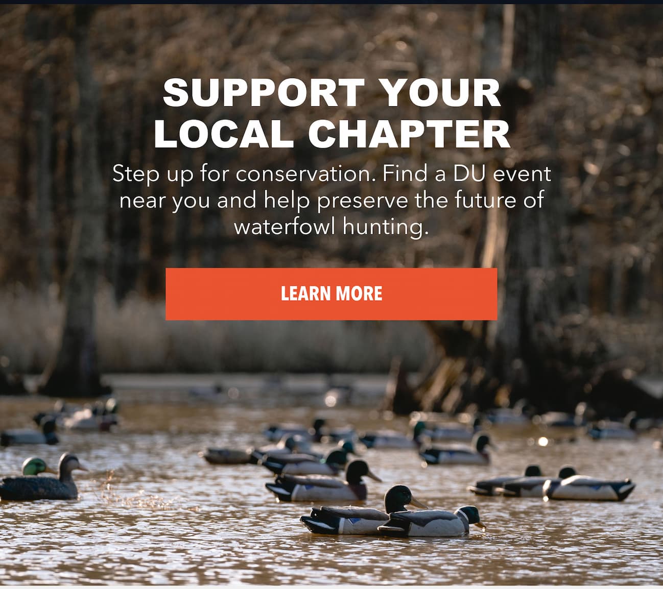 Support Your Local Chapter