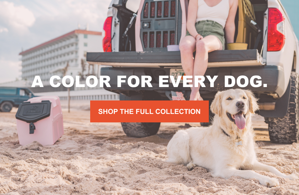 LIMITED-EDITION COLLECTION - COLOR FETCH IS HERE