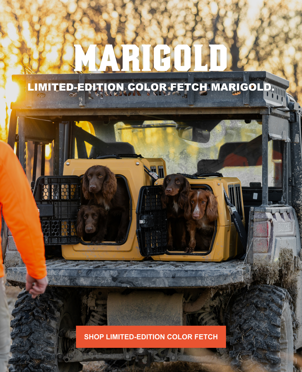 Limited-edition colors are HERE. 