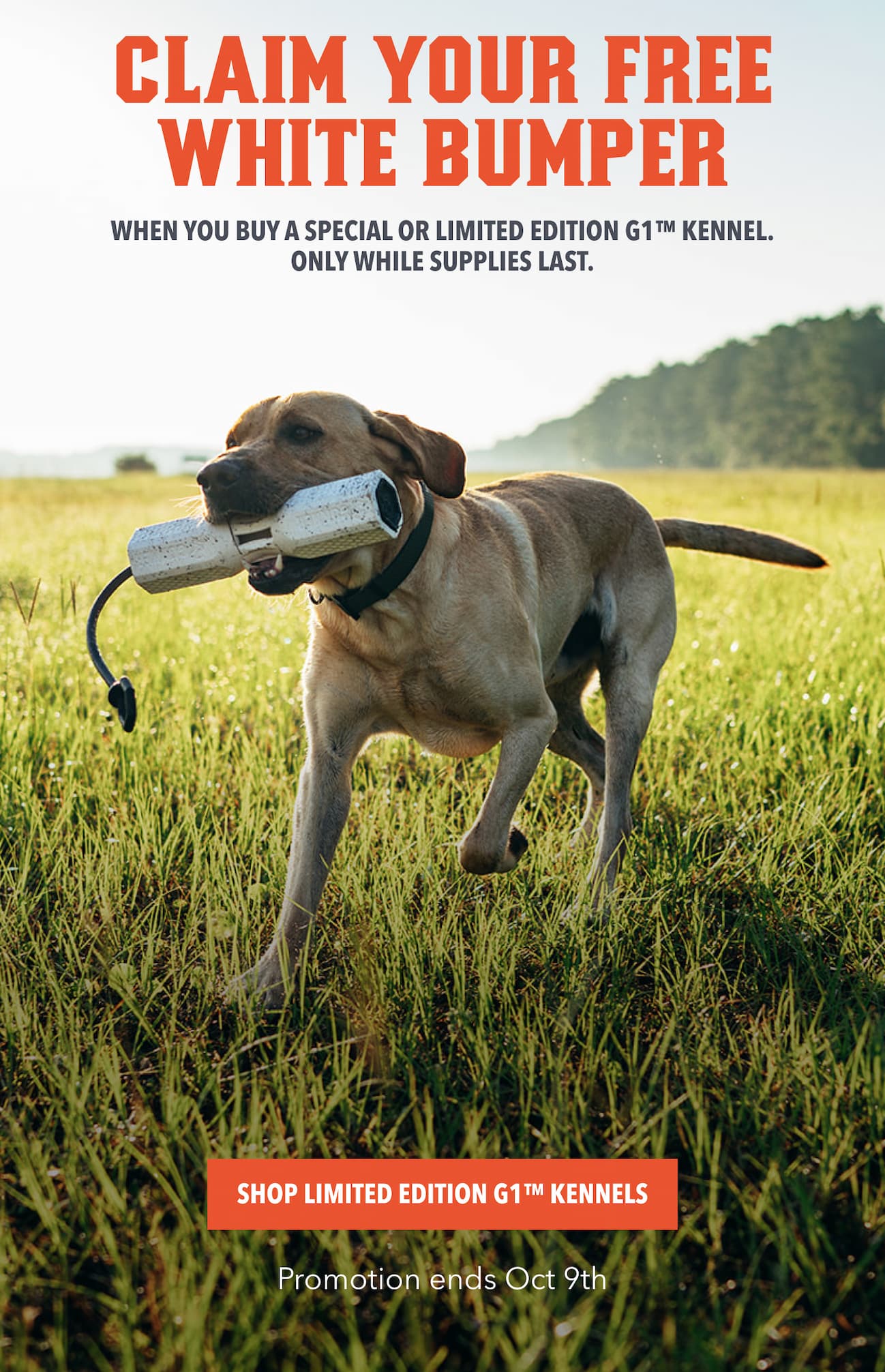 CLAIM YOUR FREE WHITE BUMPER