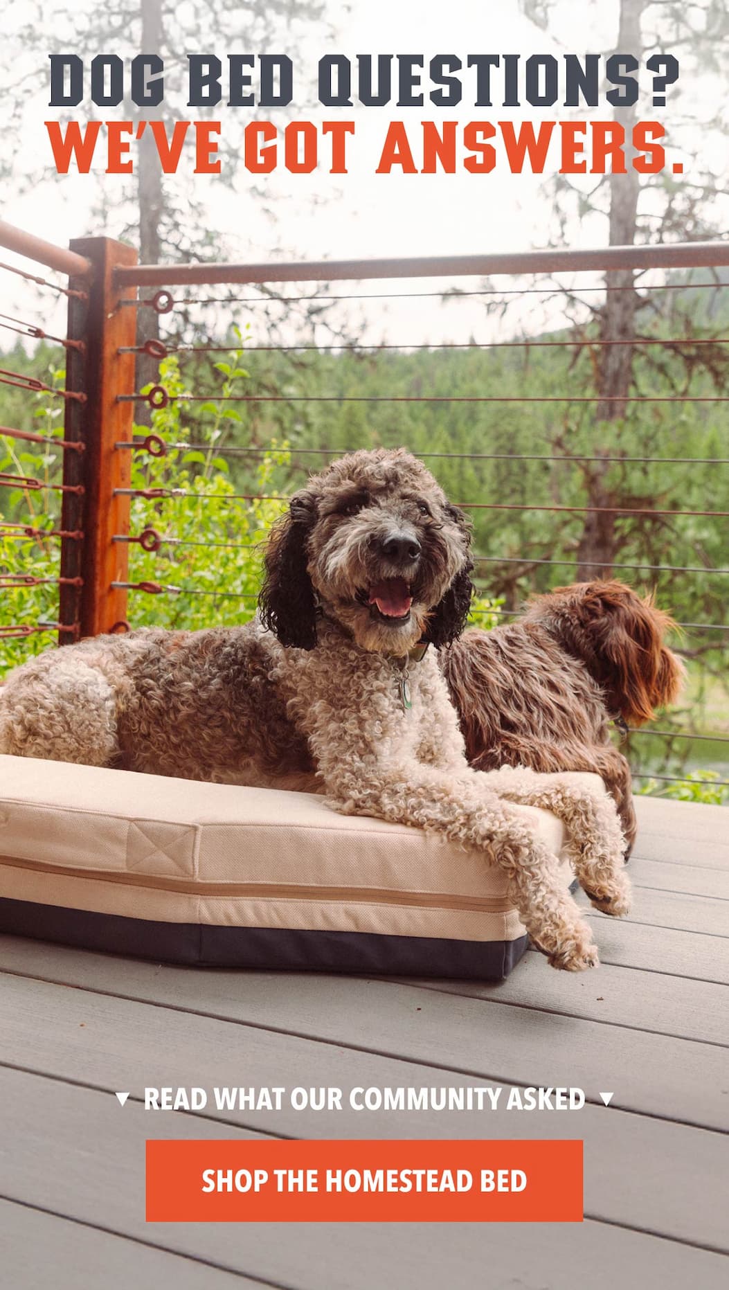 Dog Bed Questions? We’ve got answers.
