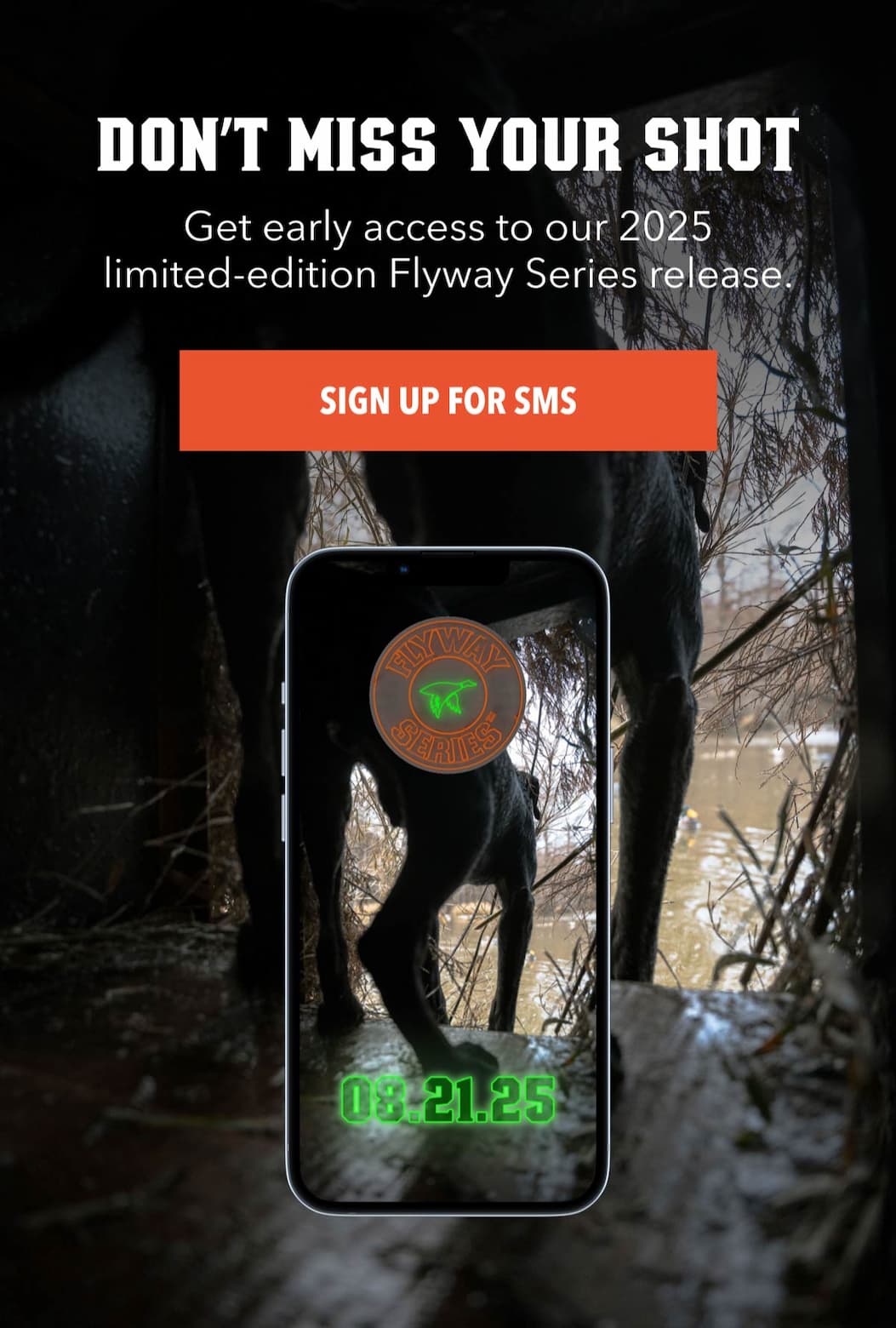 Don’t Miss Your Shot