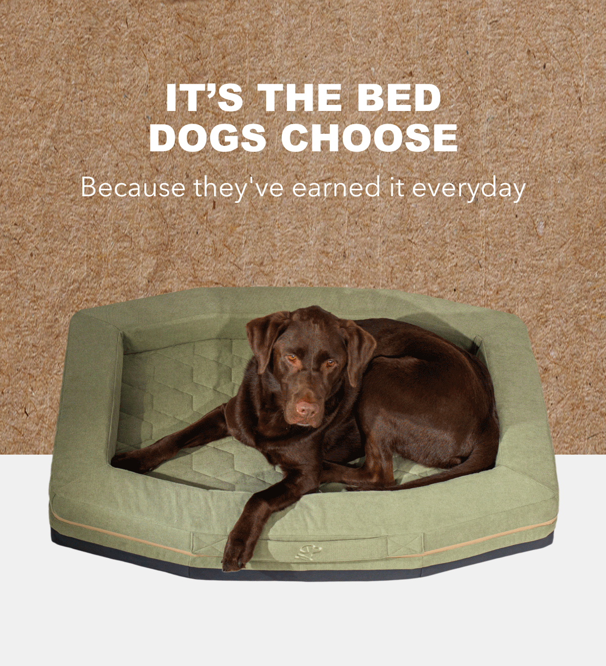 Homestead Dog Bed Gif