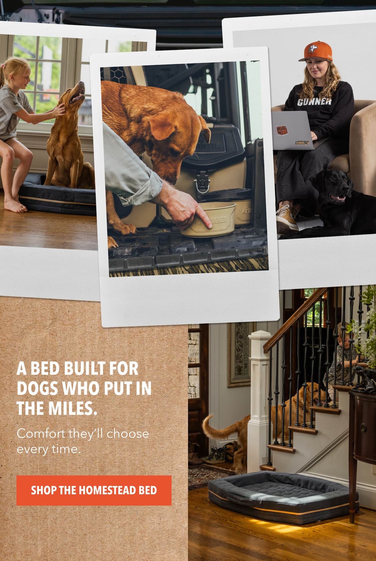 A bed built for dogs who put in the miles.