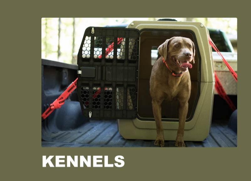 Kennels