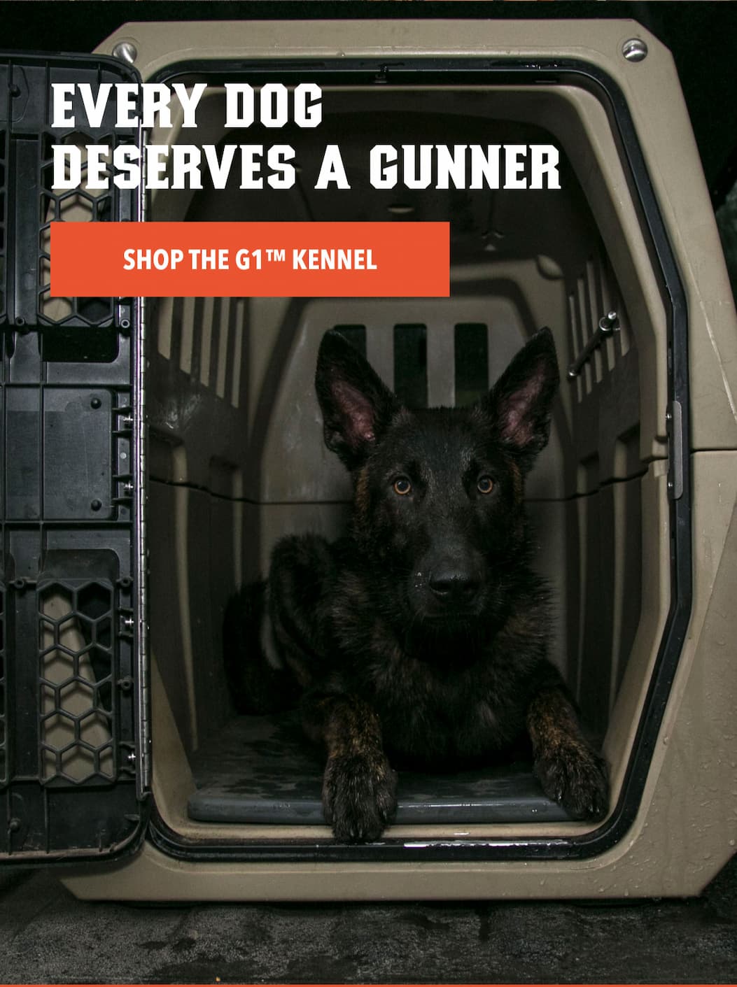Shop Kennels