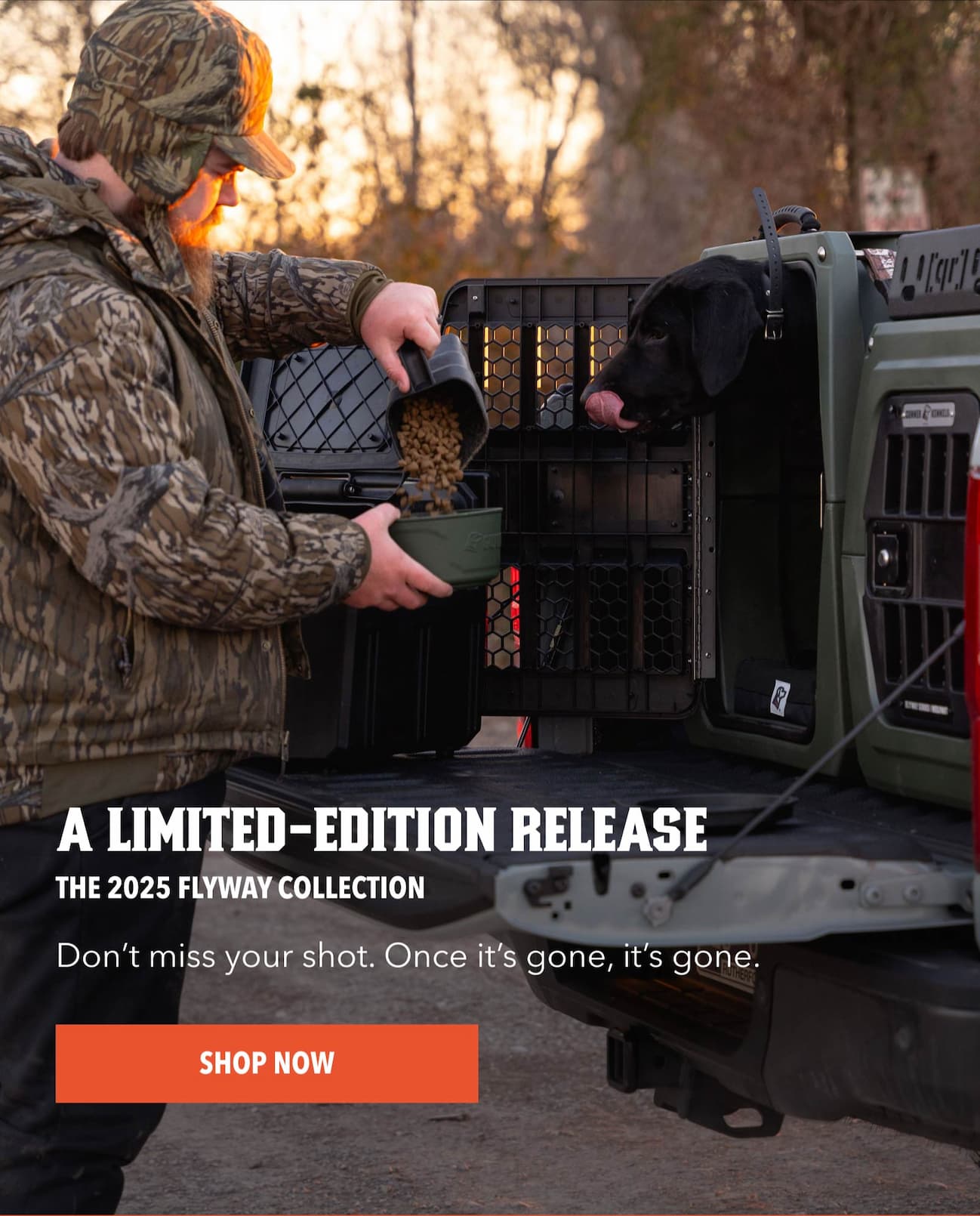 A limited-edition release