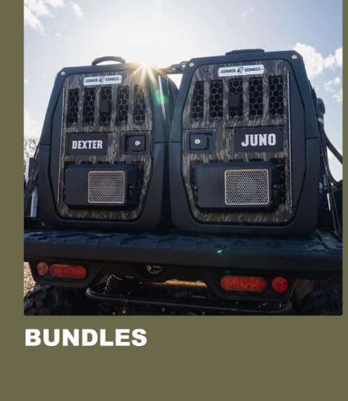 Bundles