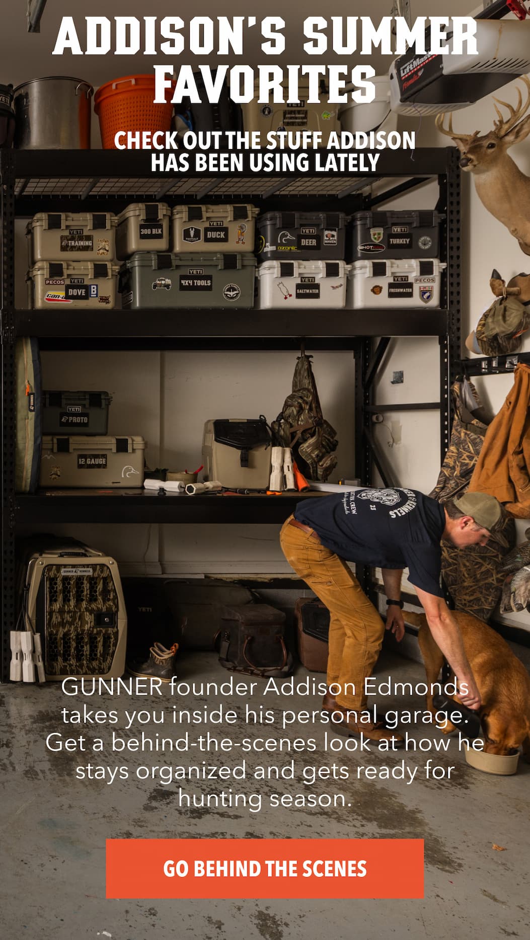 Addison's Summer Favorites