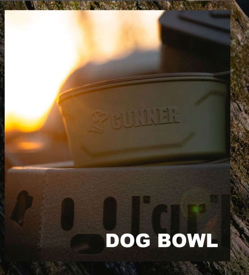 Dog Bowl