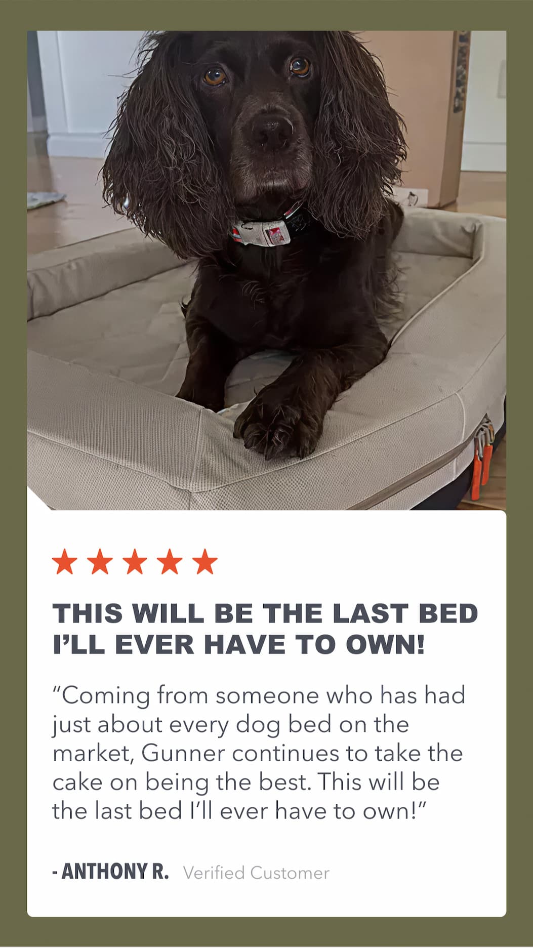 This will be the last Bed