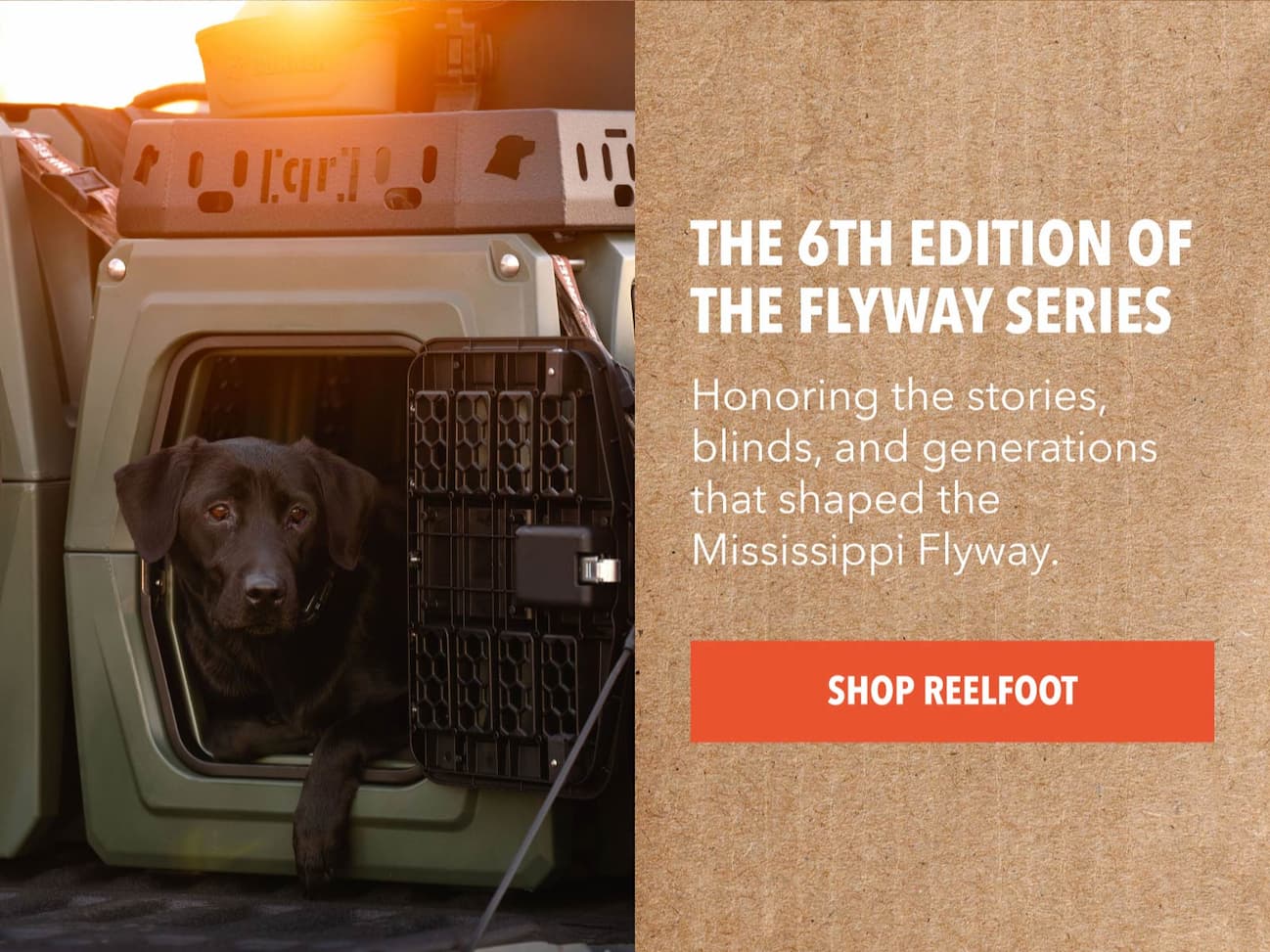 The 6th edition of the Flyway series