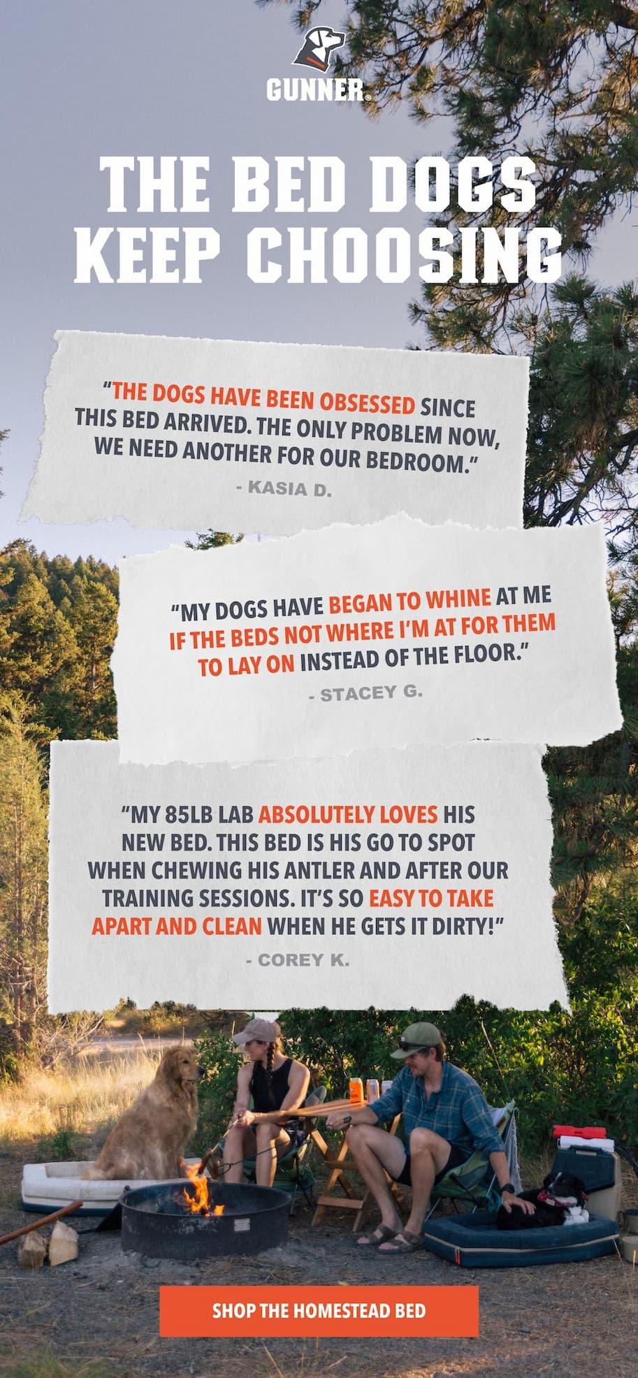 The Bed Dogs keep Choosing