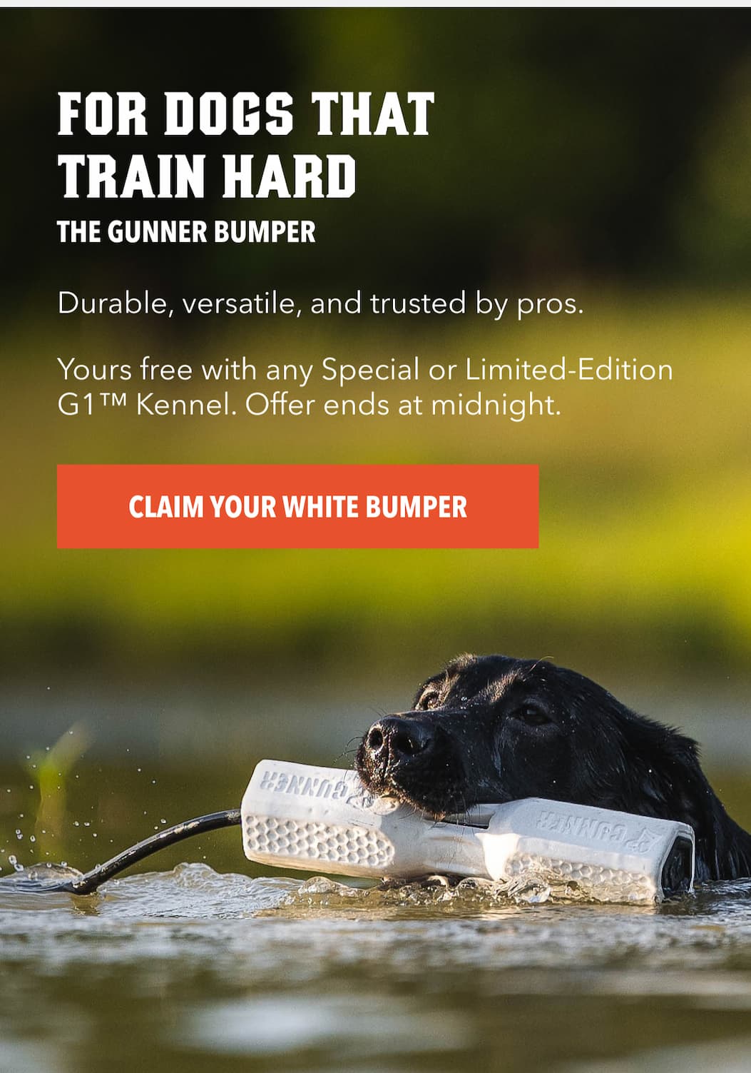 For Dogs That Train Hard For Dogs That Train Hard