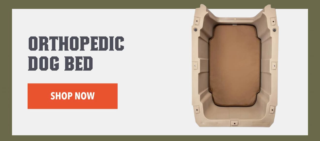 ORTHOPEDIC DOG BED