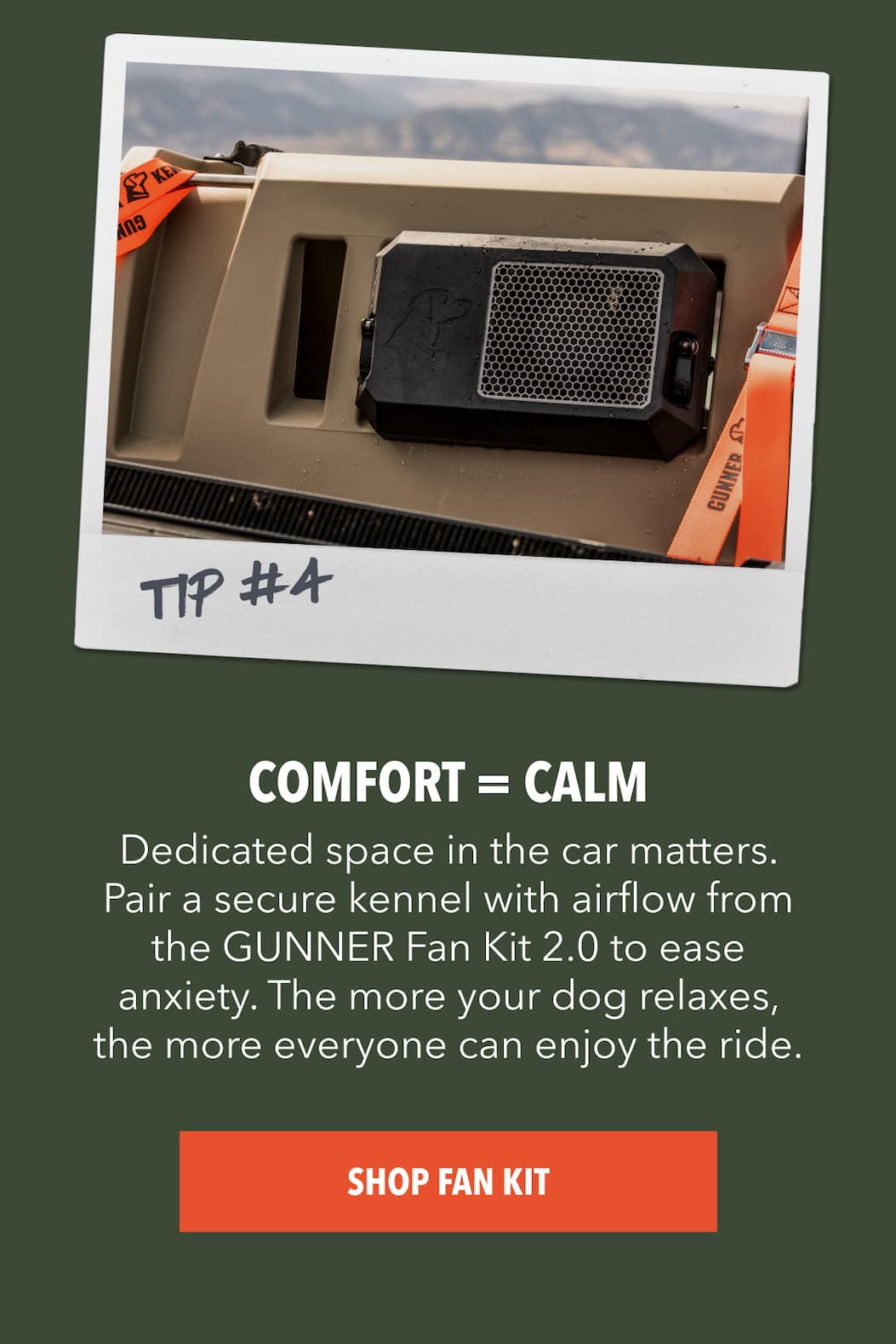 Discover the full collection