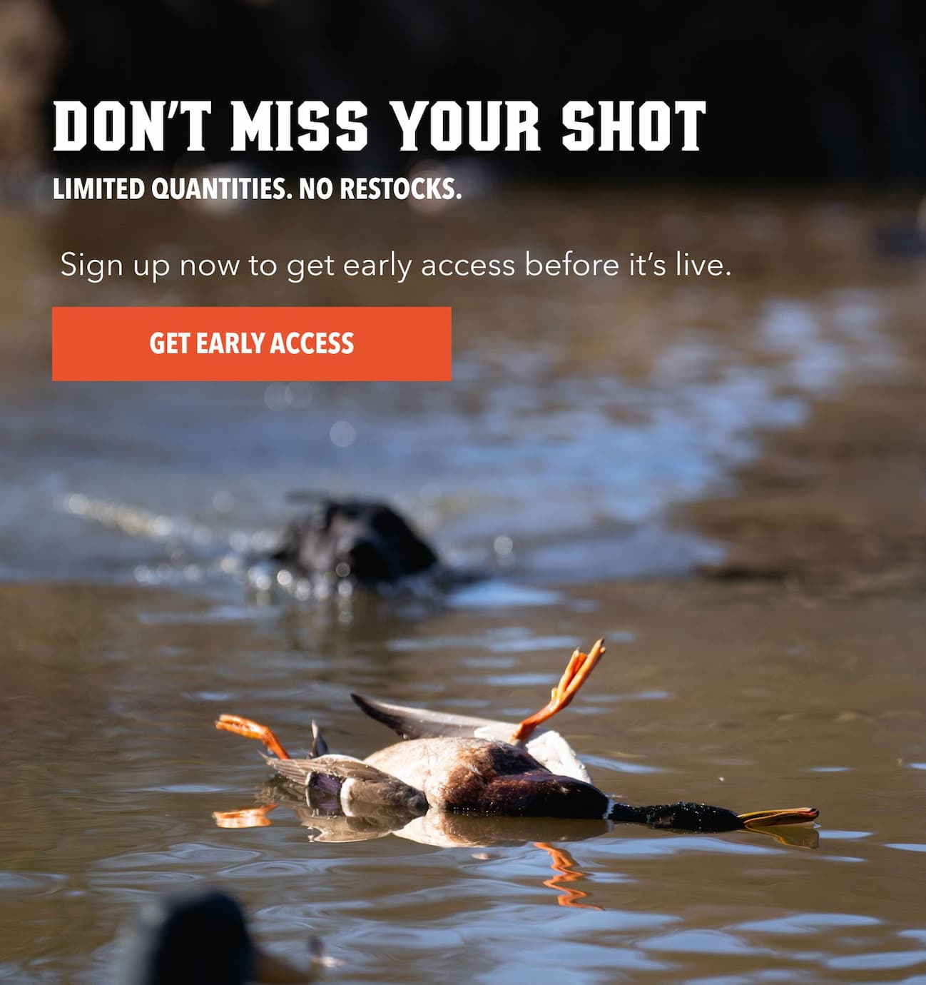 Don’t Miss Your Shot