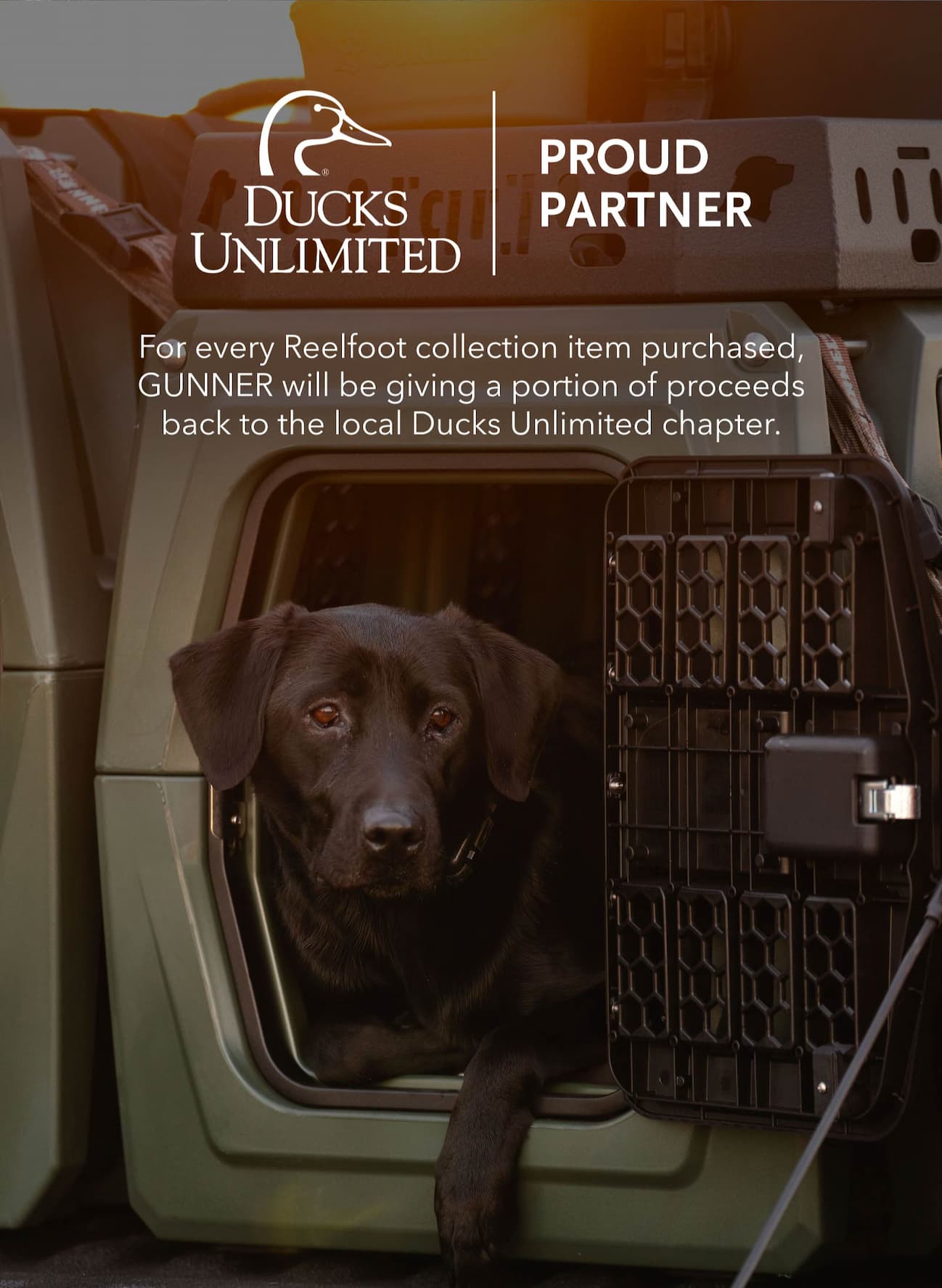 In Partnership with Ducks Unlimited