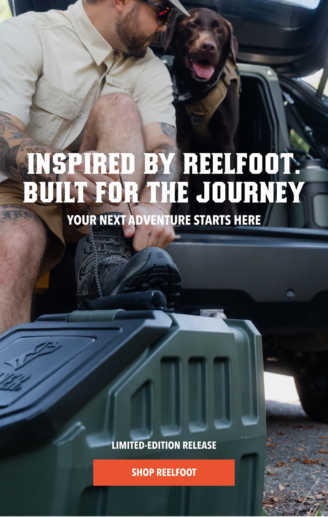 Discover the full collection