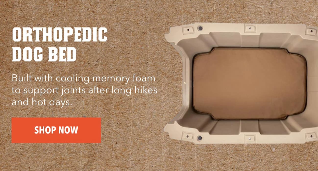 ORTHOPEDIC DOG BED