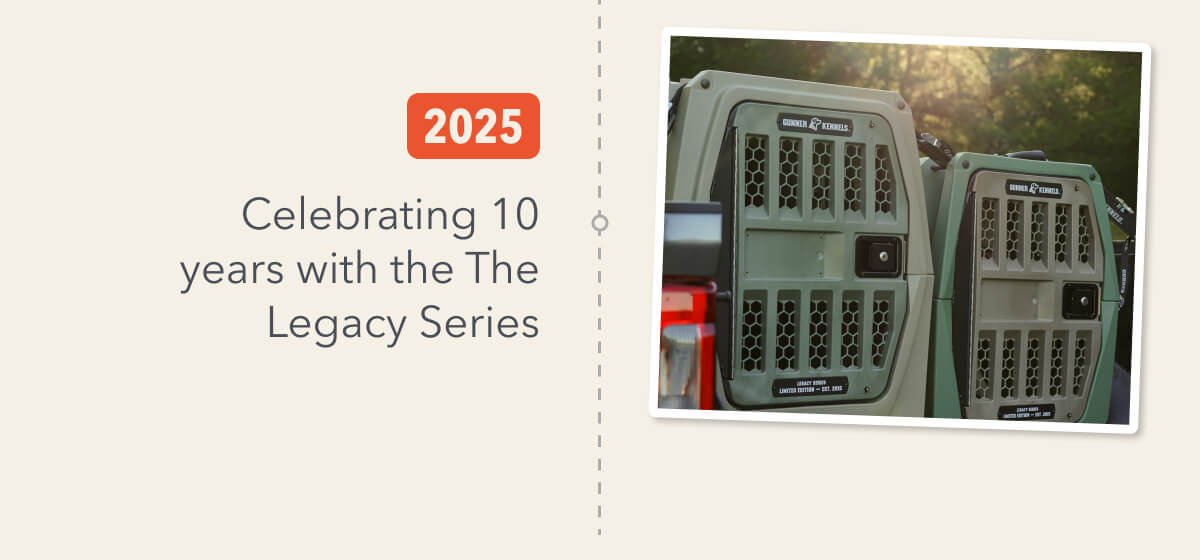 Celebrating a Decade Of Mansbestkennel