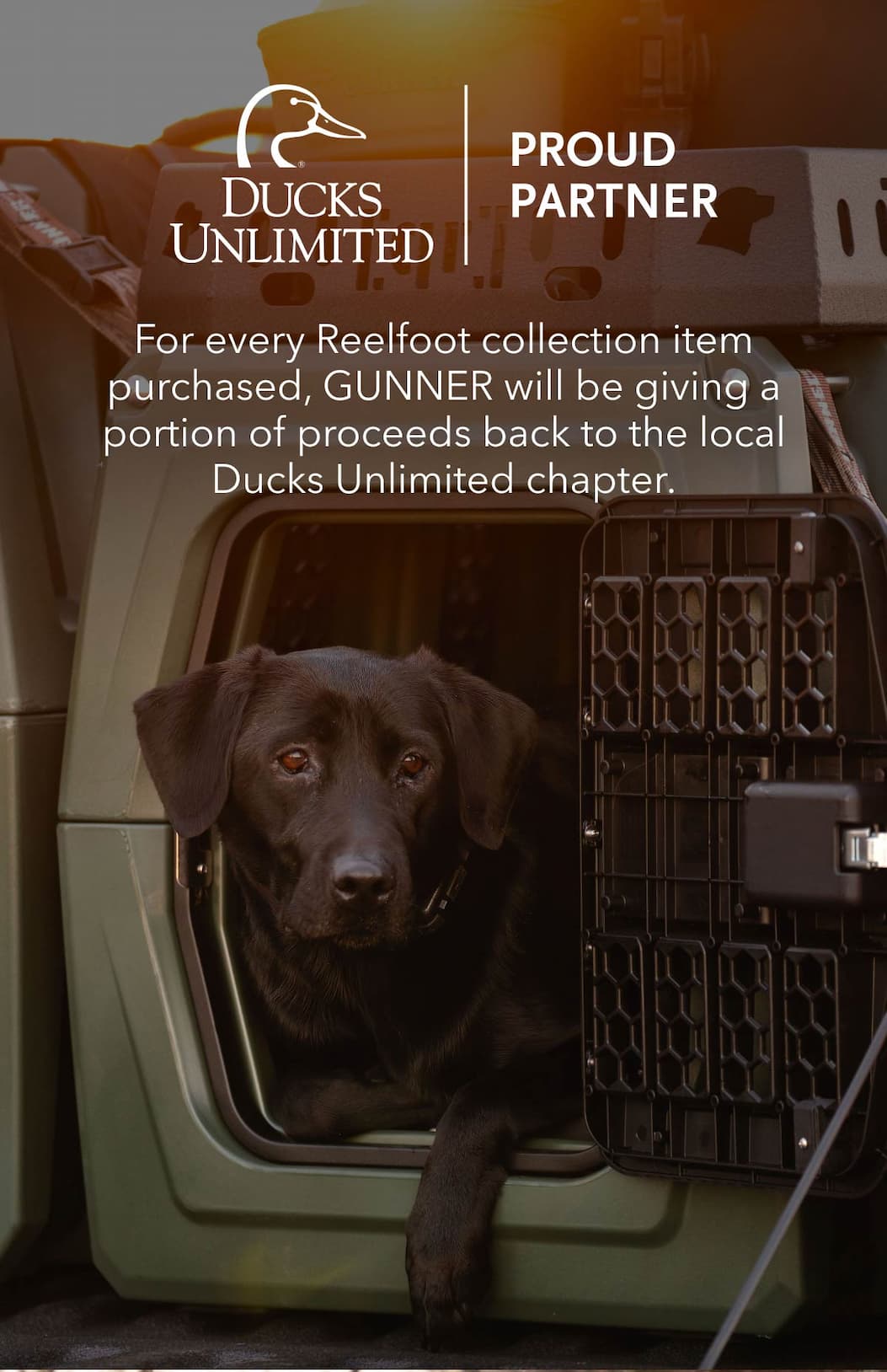 In Partnership with Ducks Unlimited