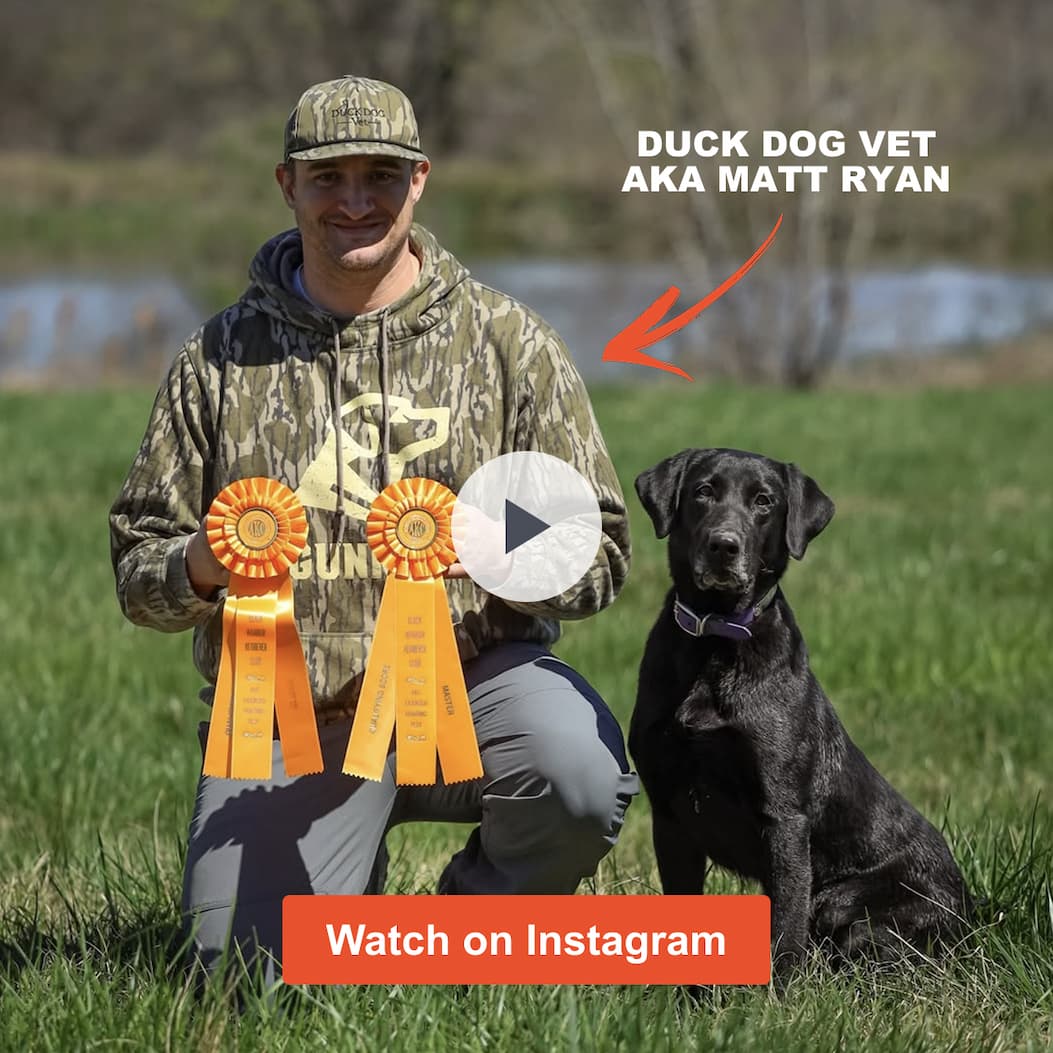 Watch Duck Dog Vet's Take on the GUNNER Food Crate