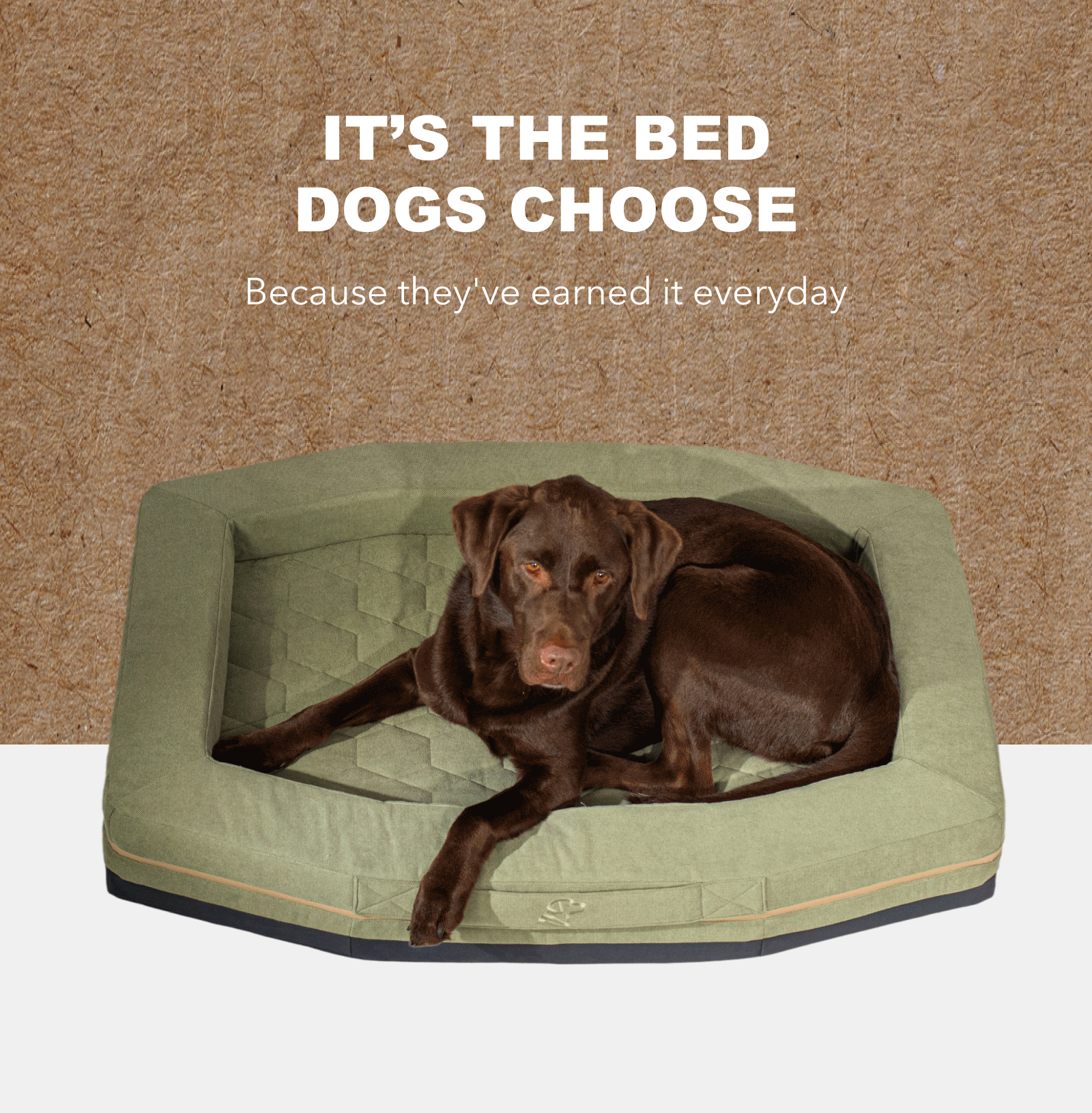 Homestead Dog Bed Gif