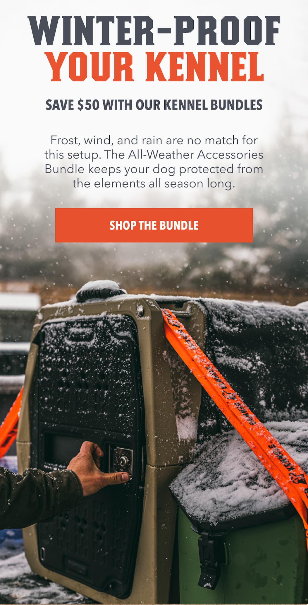 Winter-Proof Your Kennel