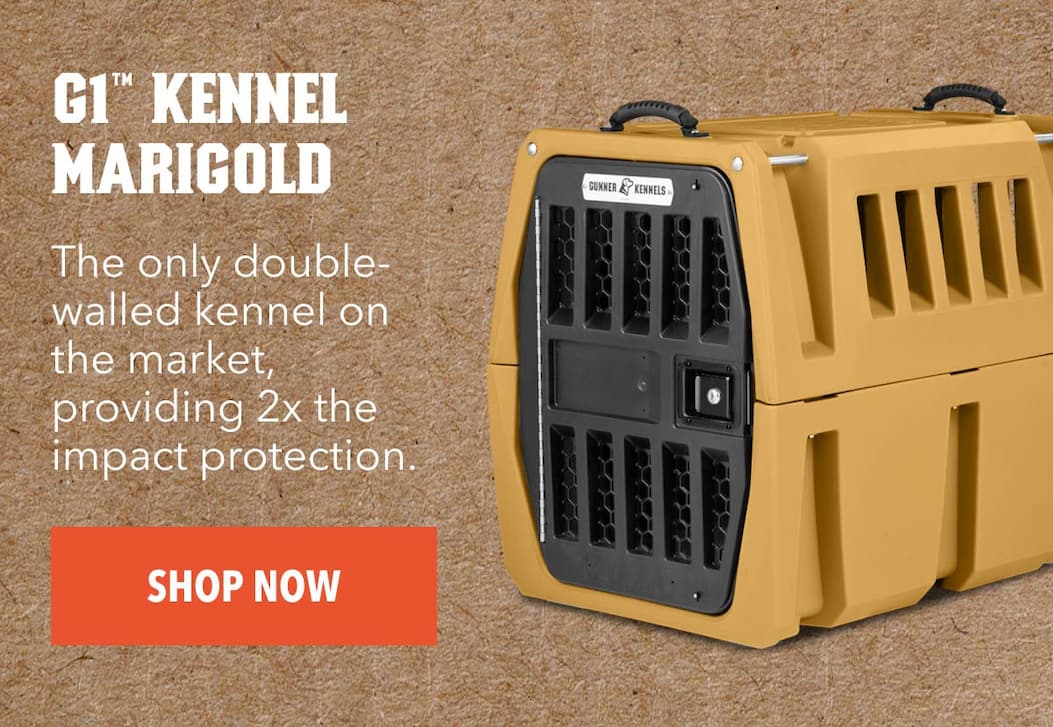 G1™ KENNEL MARIGOLD