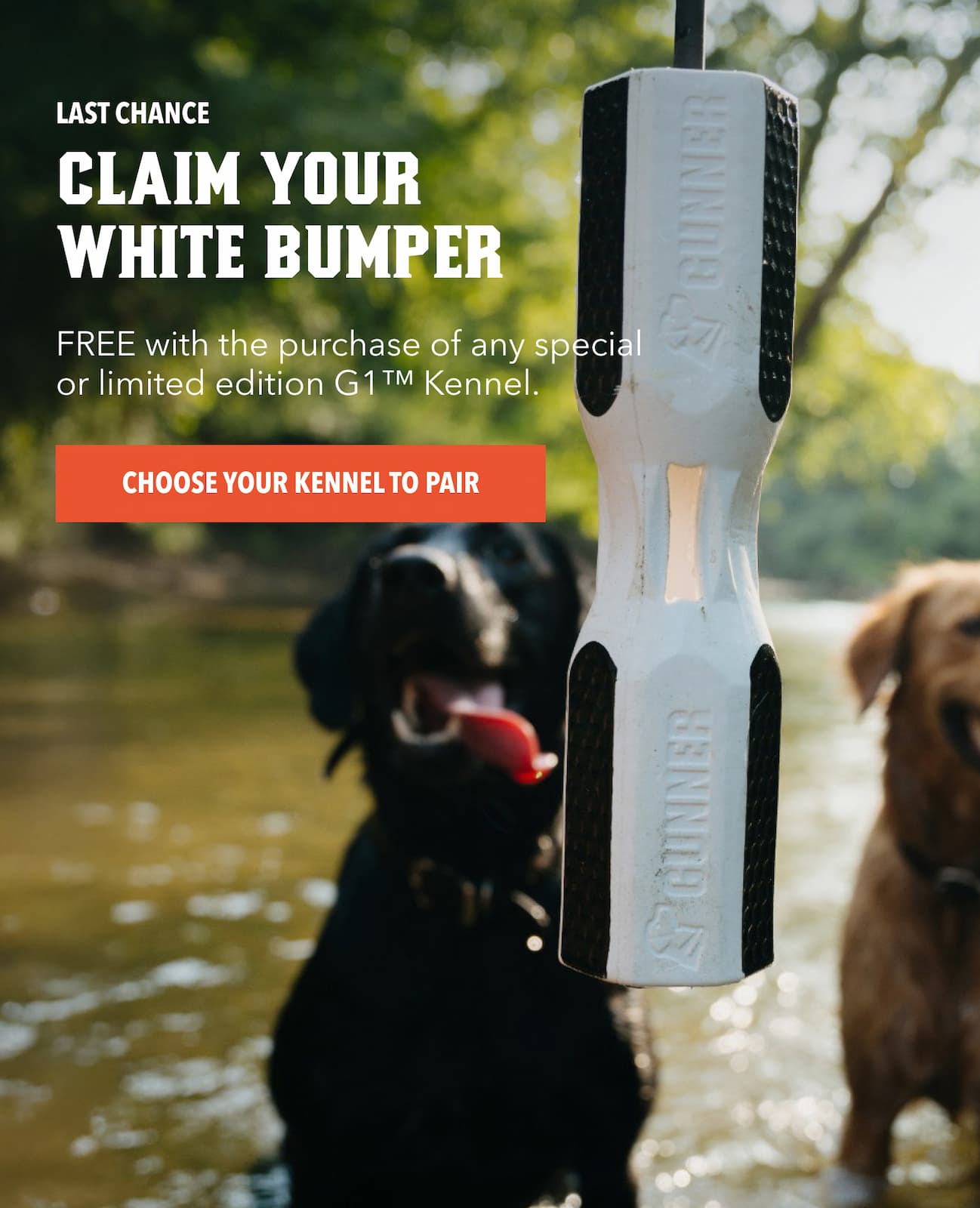 Last Chance: Claim Your White Bumper
