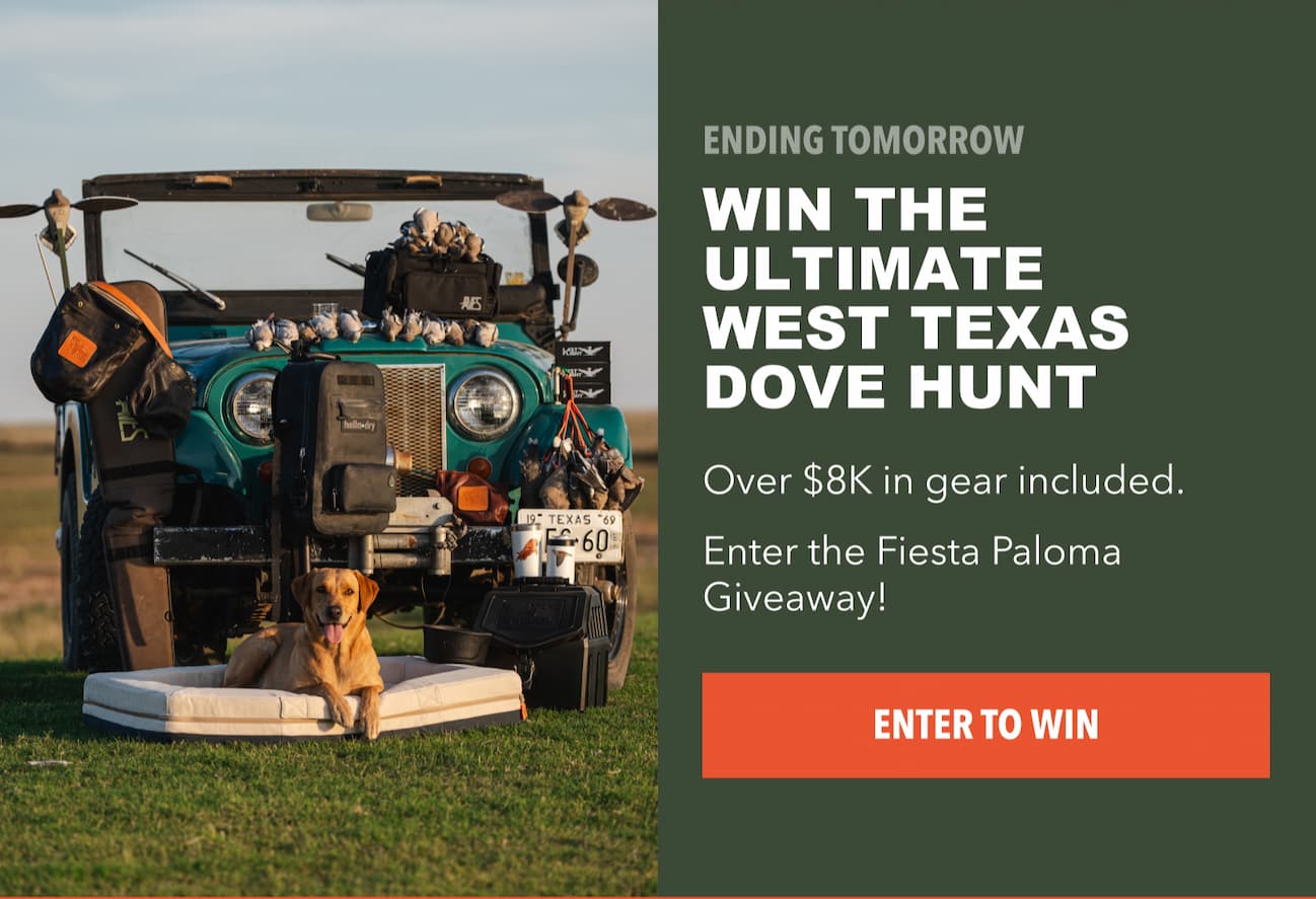Ending Tomorrow: Win the Ultimate West Texas Dove Hunt