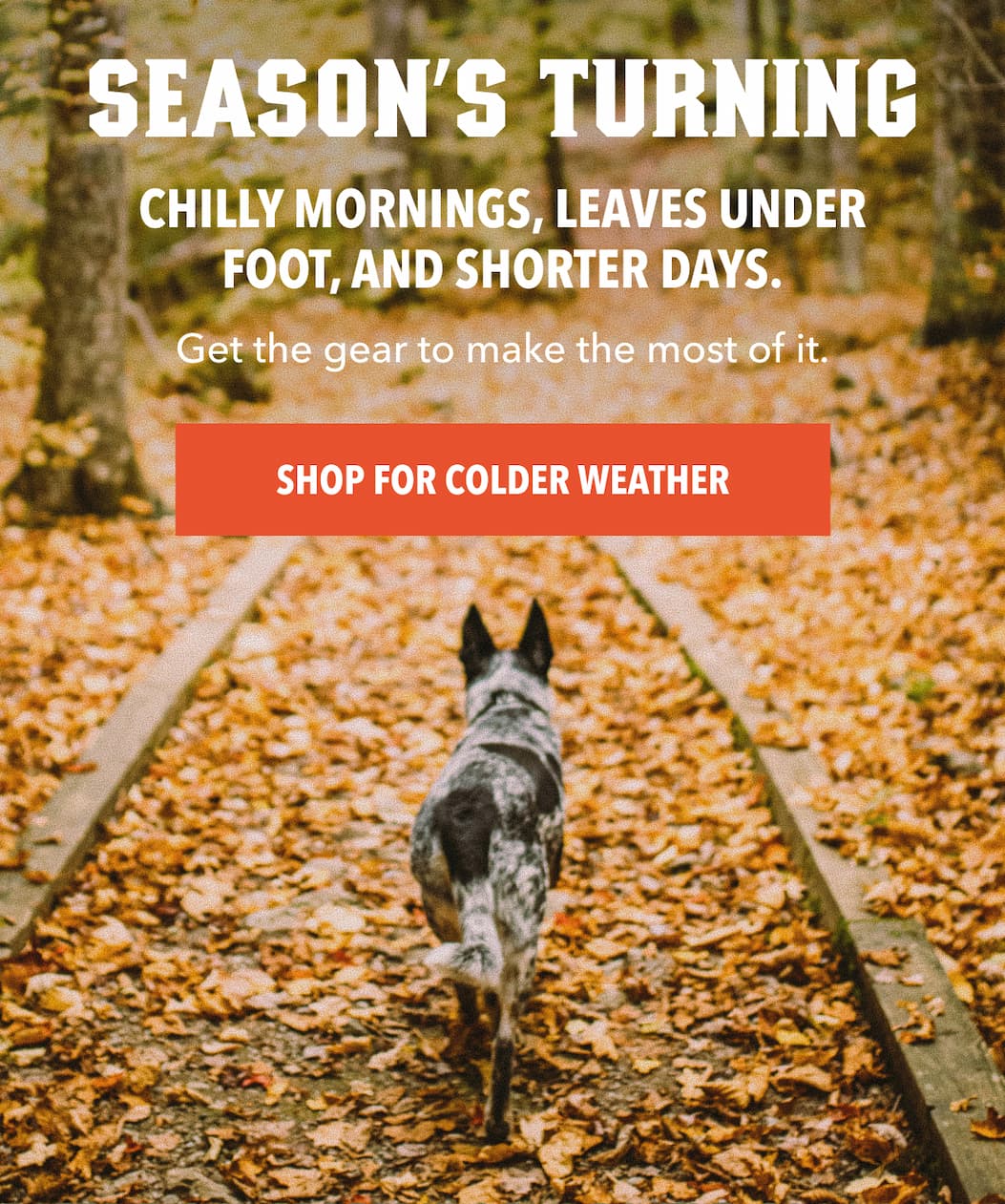 Season’s Turning