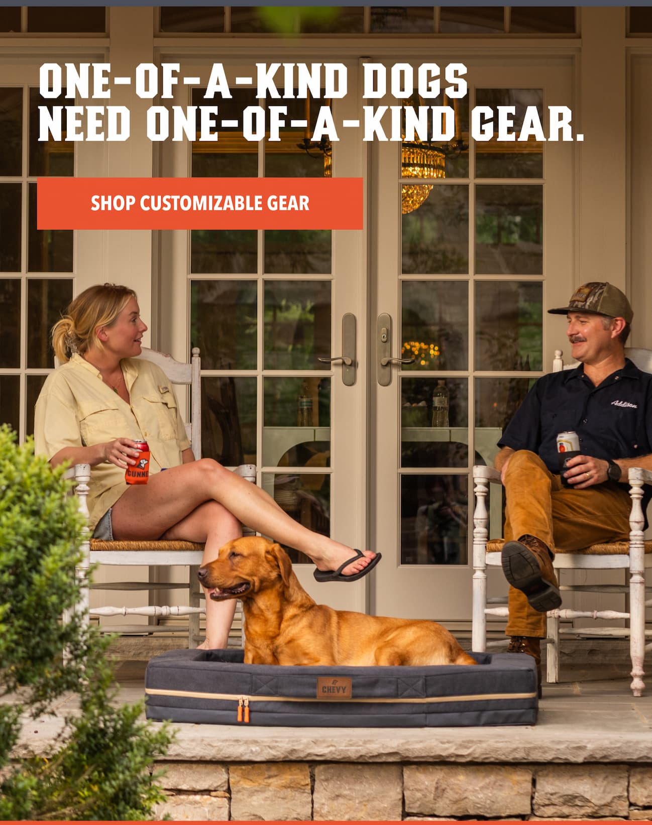 One-of-a-kind dogs need one-of-a-kind gear.