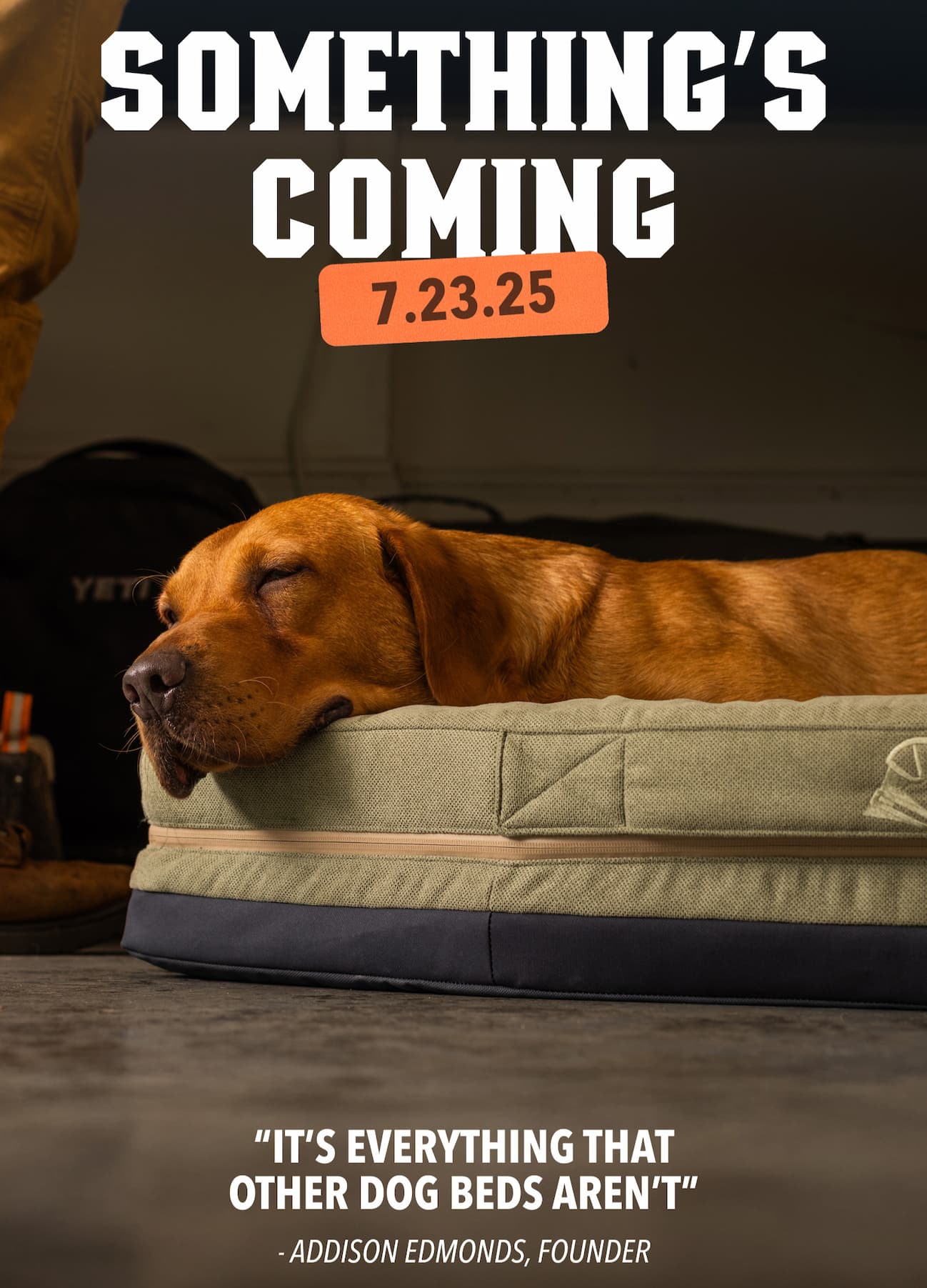 Homestead Dog Bed Teaser