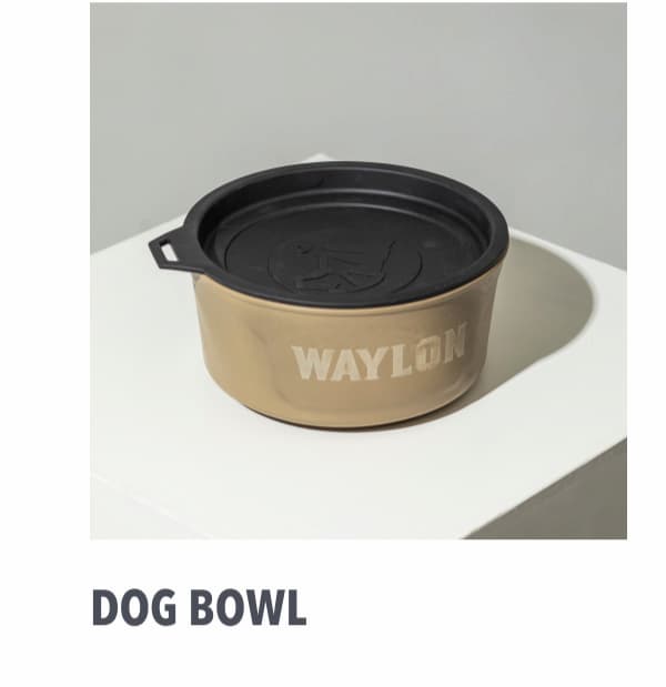 Dog Bowl