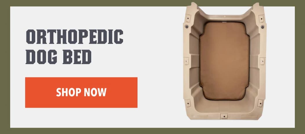 ORTHOPEDIC DOG BED