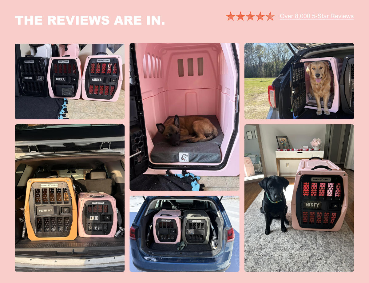 A COLOR FOR EVERY DOG - SHOP COLOR FETCH