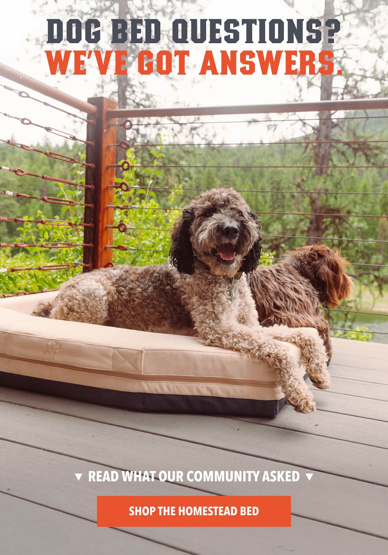 Dog Bed Questions? We’ve got answers.