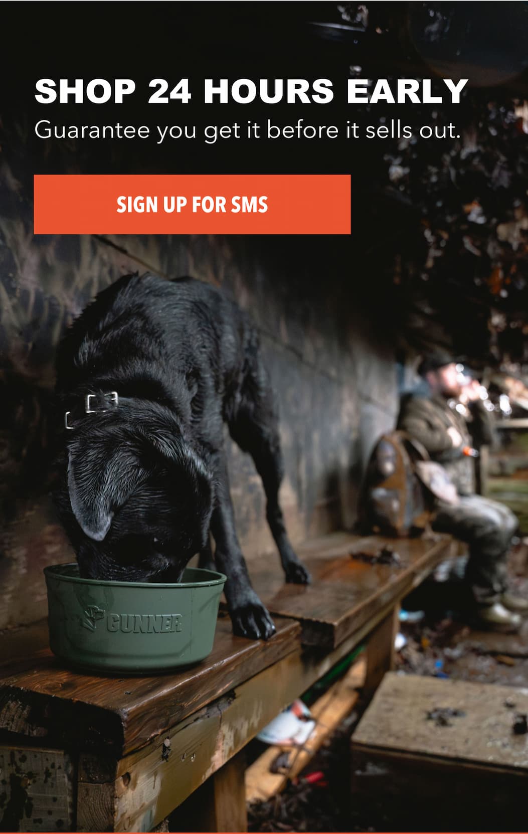 Get Early Access Get Early Access