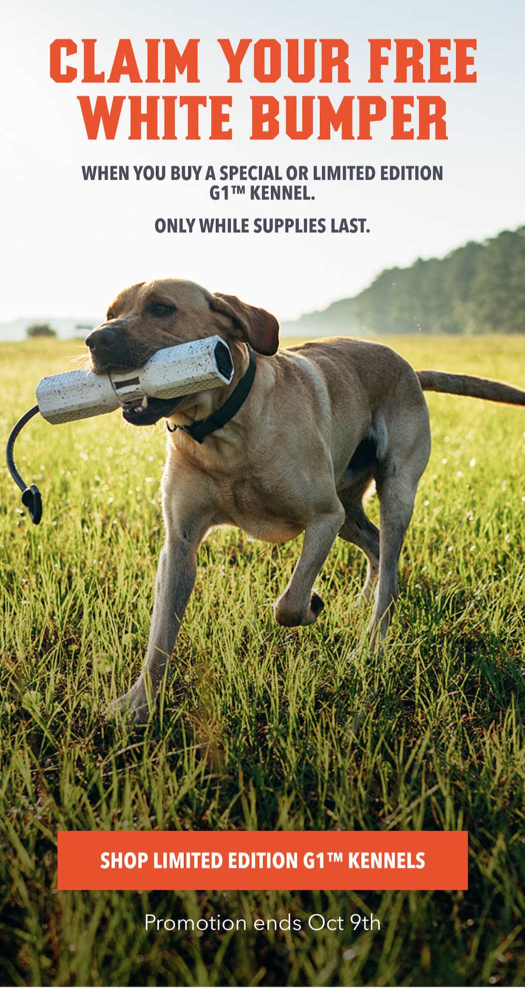 CLAIM YOUR FREE WHITE BUMPER