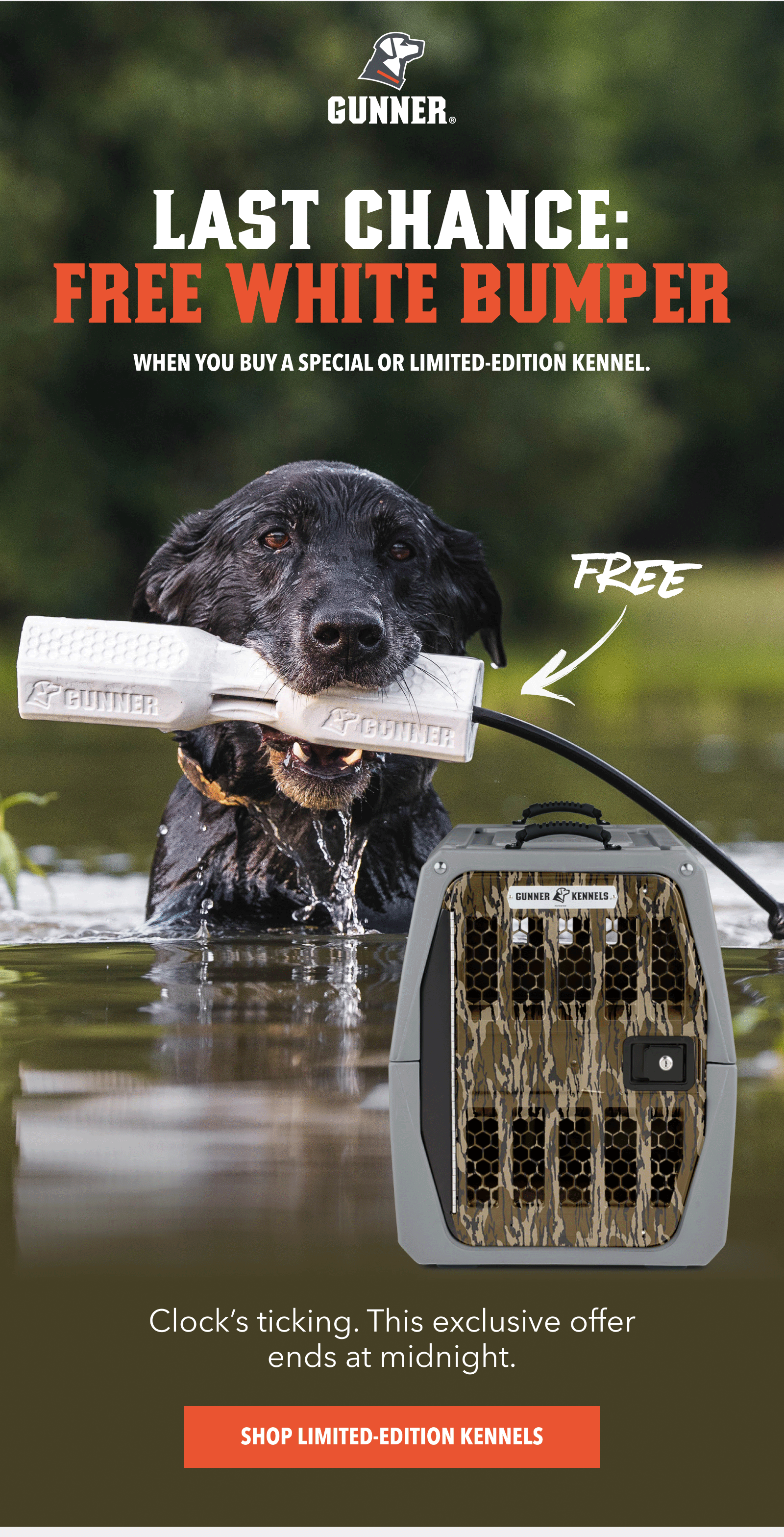 LAST CHANCE: FREE WHITE BUMPER