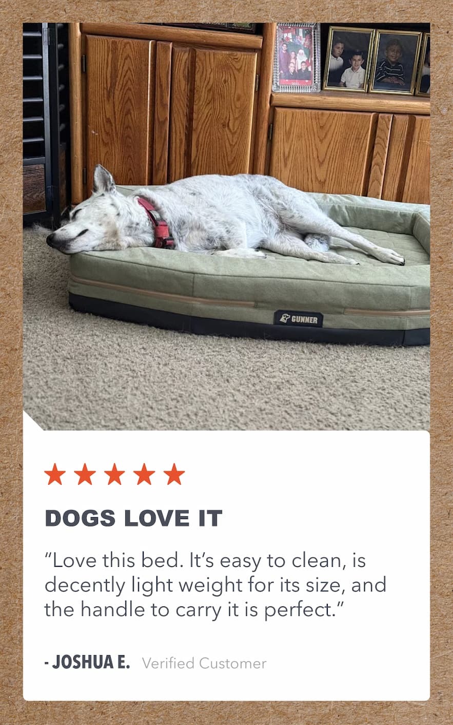 Best Dog Bed Ever