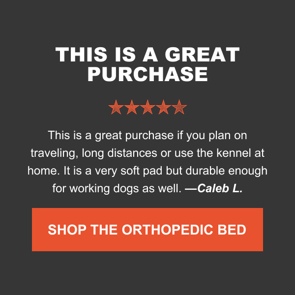 Shop Ortho Bed
