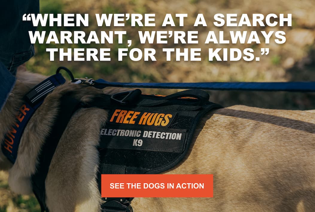 See the Dogs in Action