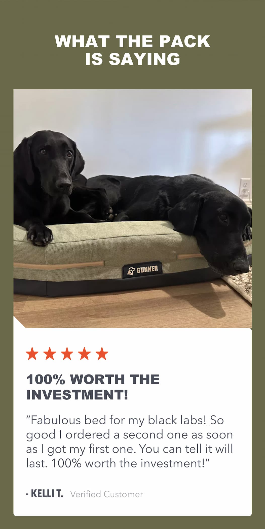 What the Pack is saying