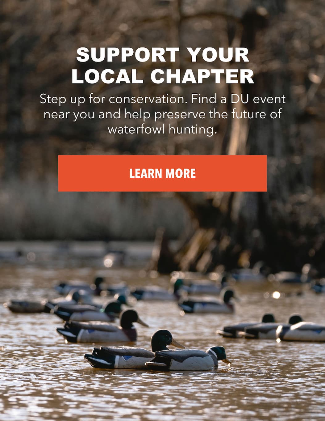 Support Your Local Chapter