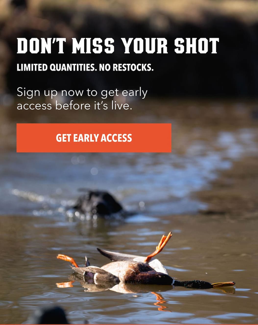 Don’t Miss Your Shot