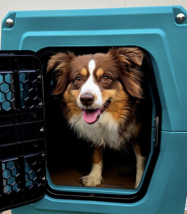 Check out the GUNNER G1 Kennel in Teal
