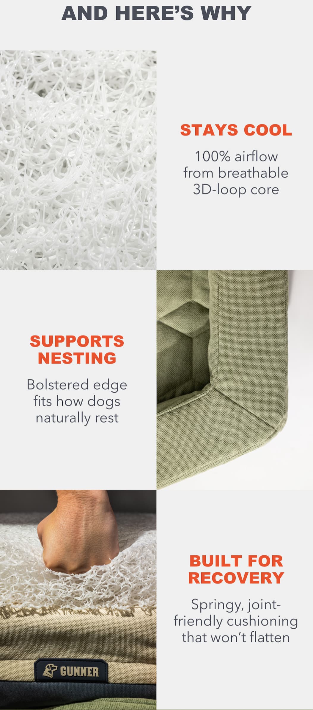 Homestead Dog Bed Features